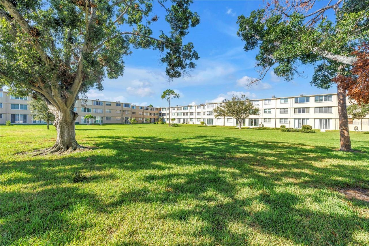 5095 Bay Street Ne, Unit 317, Saint Petersburg, FL 33703 Photo