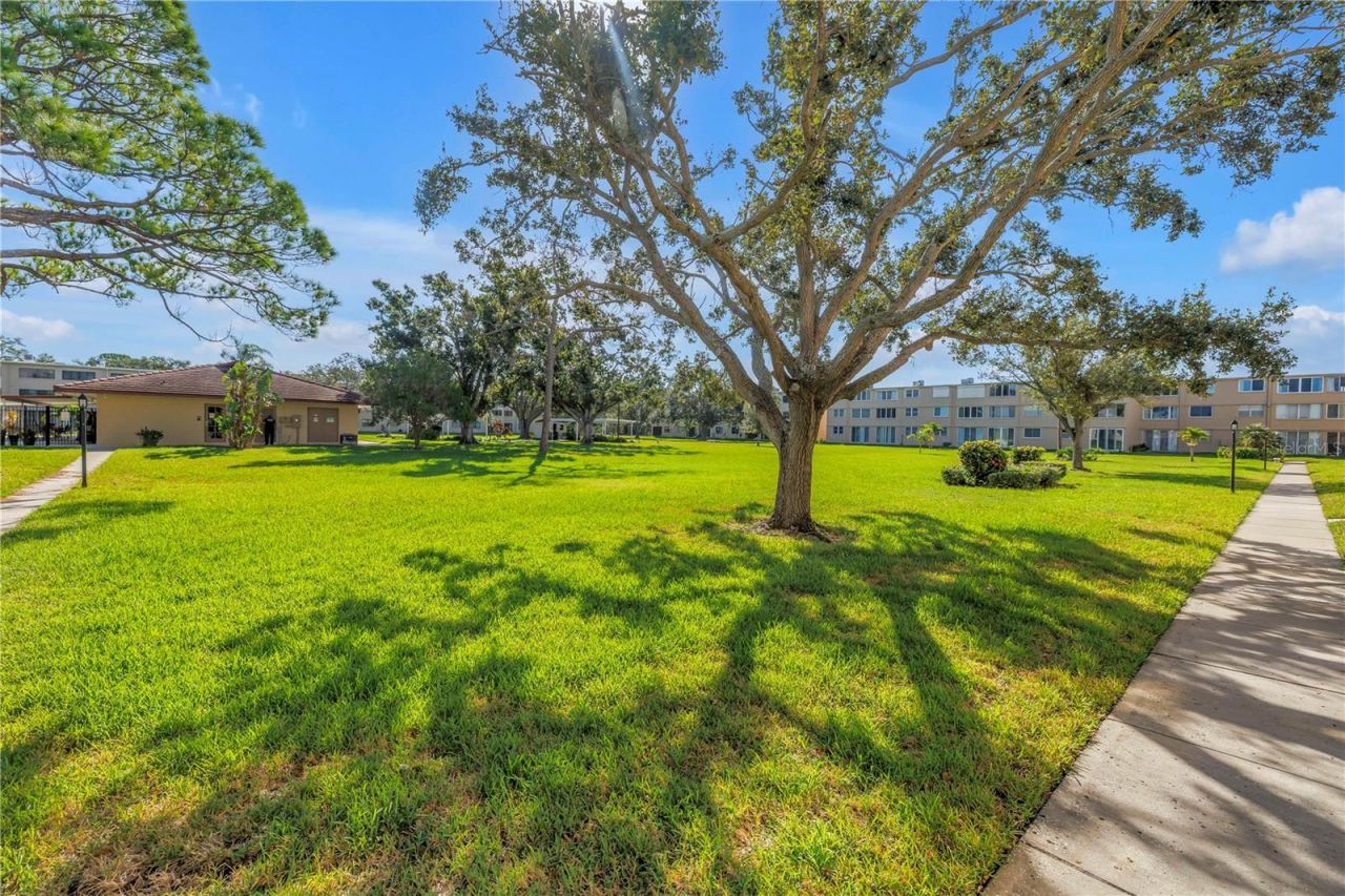 5095 Bay Street Ne, Unit 317, Saint Petersburg, FL 33703 Photo