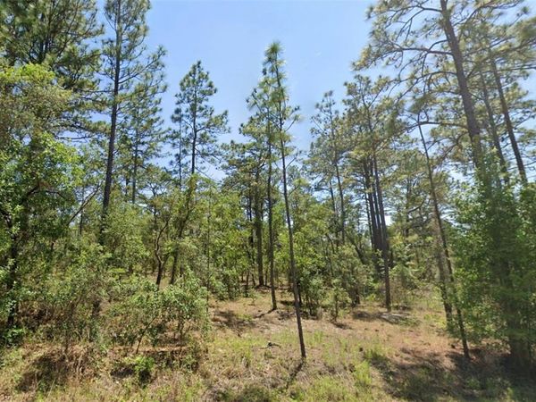 00 NW SHAMROCK AVENUE, DUNNELLON, FL 34431