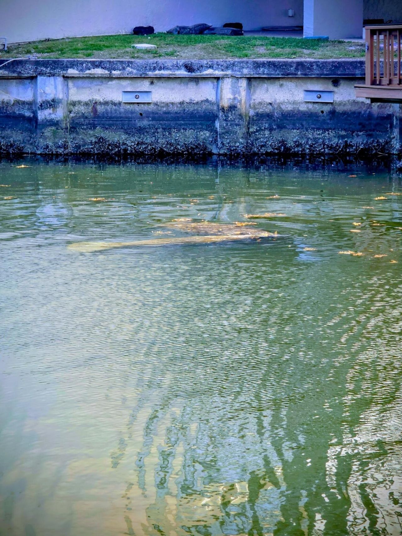 777 S Federal Highway, Unit 103d, Pompano Beach, FL 33062 Photo