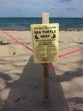 3236 NE 5th Street, Unit 402, Pompano Beach, FL 33062 Photo