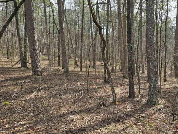 Lot 010 palencia, Hot Springs Village, AR 71909