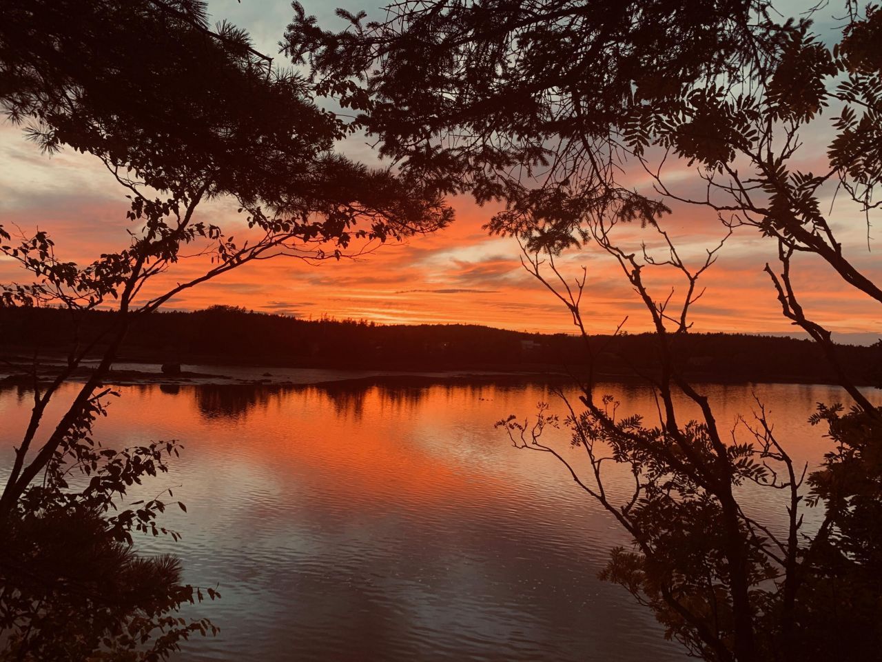 31 Luna Lane, Trescott Township, ME 04652 Main Photo