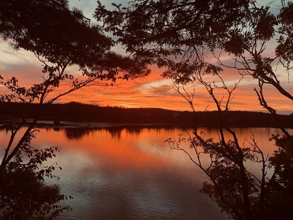 31 Luna Lane, Trescott Twp, ME 04652