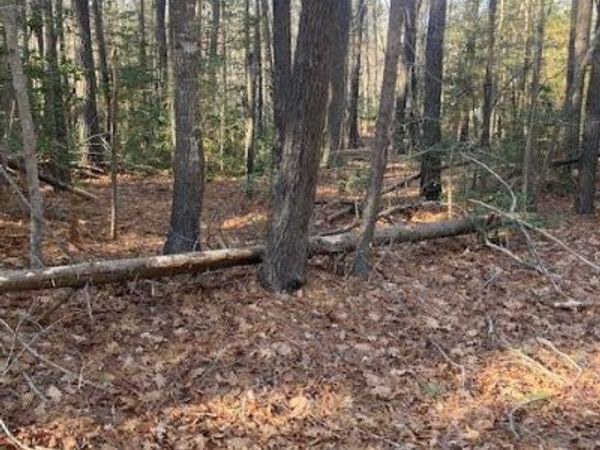 000 Island Point Road, HEATHSVILLE, VA 22473