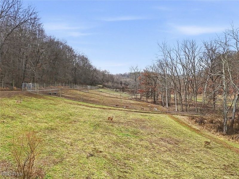 6529 Fallsburg Road NE, Newark, OH 43055 Photo 41