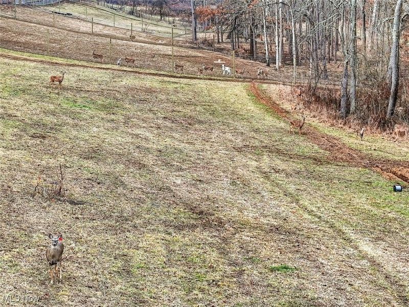 6529 Fallsburg Road NE, Newark, OH 43055 Photo 42