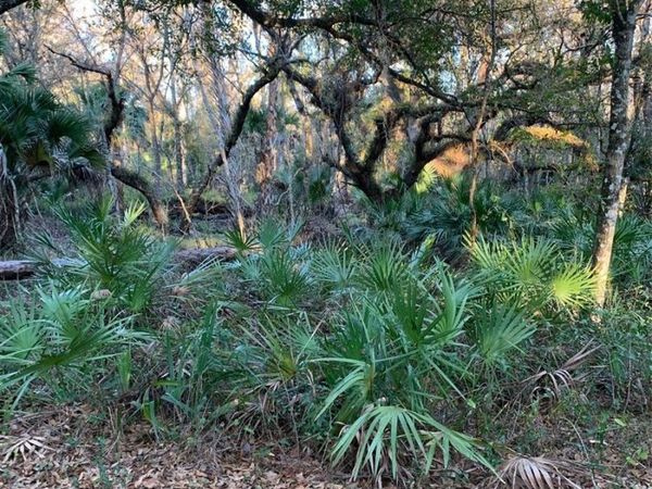 49 FENNY BOSK TRAIL, VENUS, FL 33960