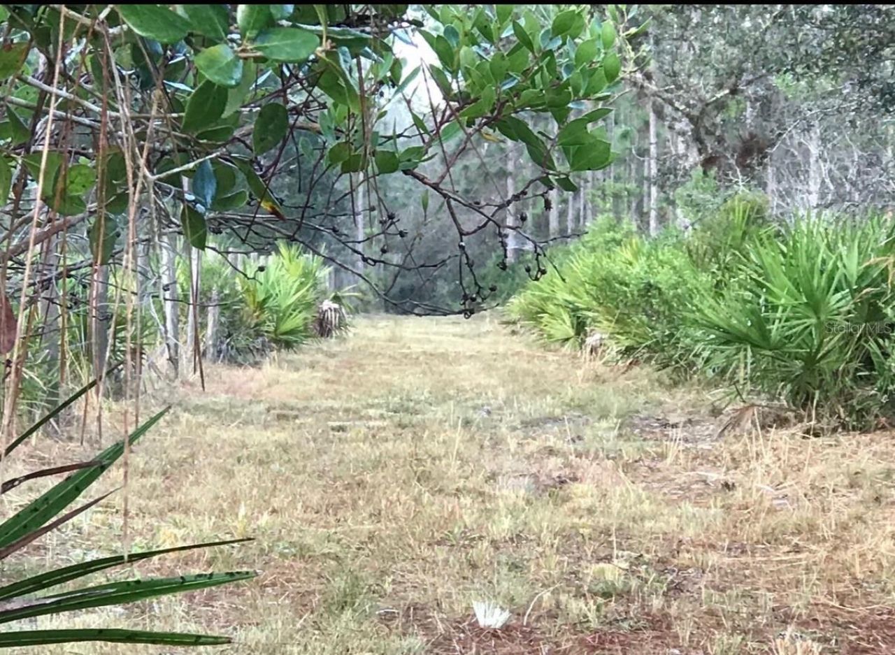 49 Fenny Bosk Trail, Venus, FL 33960 Photo