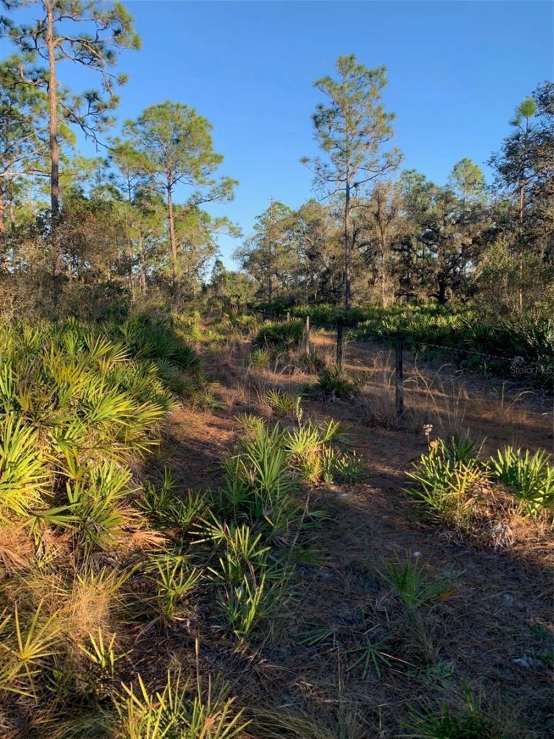 49 Fenny Bosk Trail, Venus, FL 33960 Photo