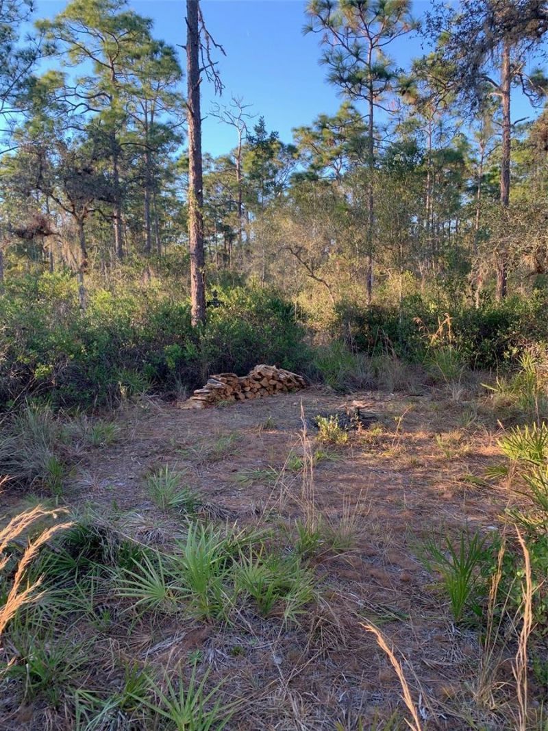 49 Fenny Bosk Trail, Venus, FL 33960 Photo