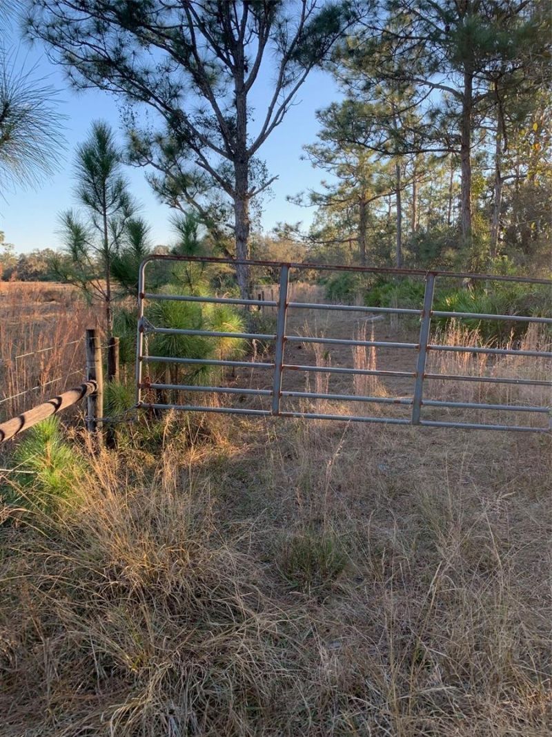 49 Fenny Bosk Trail, Venus, FL 33960 Photo