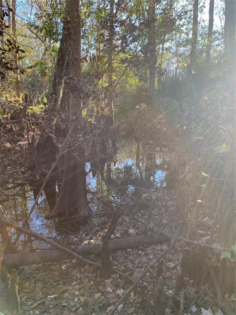 49 Fenny Bosk Trail, Venus, FL 33960 Photo