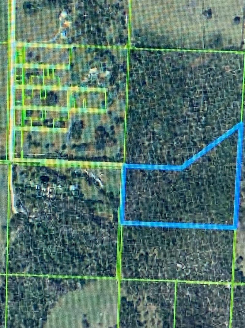 49 Fenny Bosk Trail, Venus, FL 33960 Photo