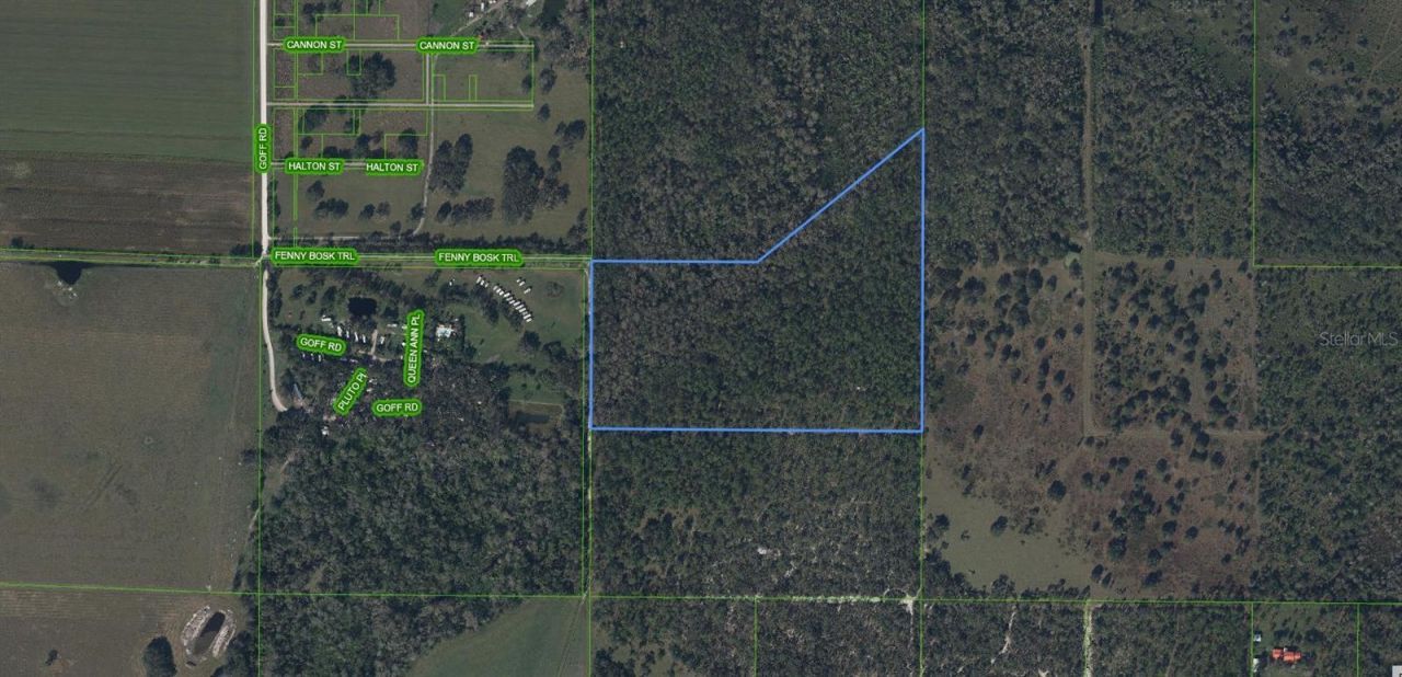 49 Fenny Bosk Trail, Venus, FL 33960 Photo