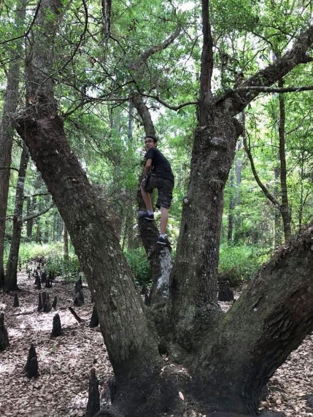 49 Fenny Bosk Trail, Venus, FL 33960 Photo