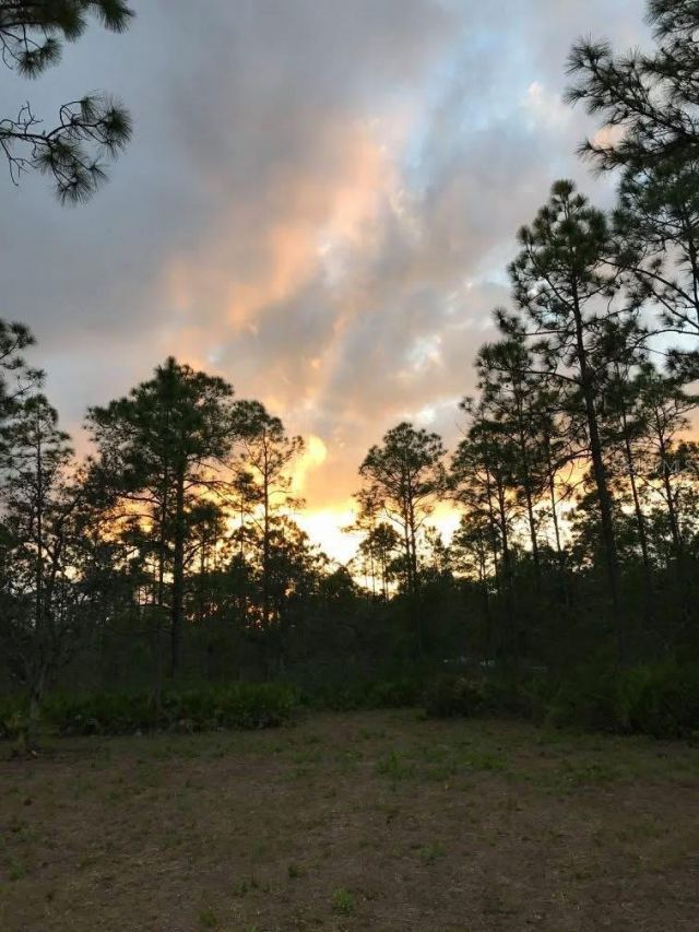 49 Fenny Bosk Trail, Venus, FL 33960 Photo