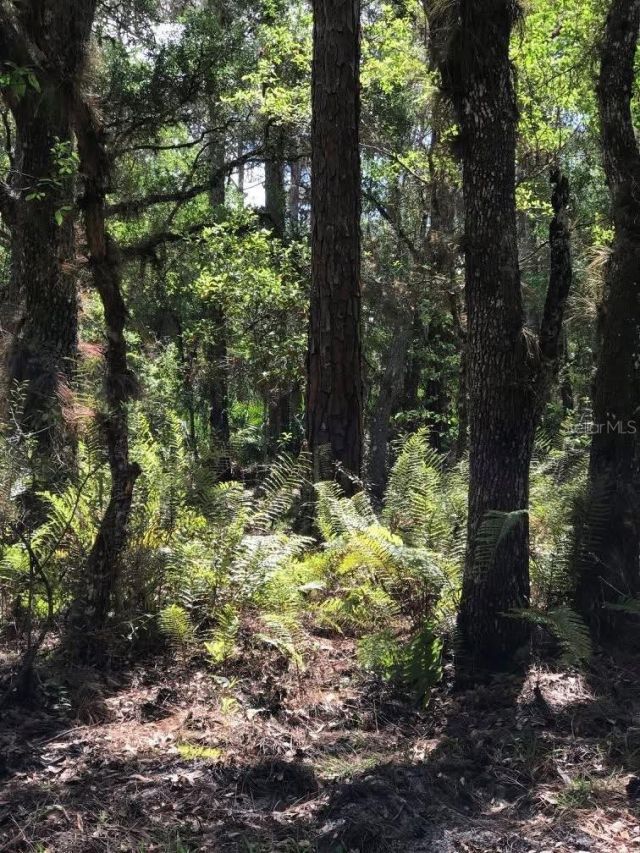 49 Fenny Bosk Trail, Venus, FL 33960 Photo