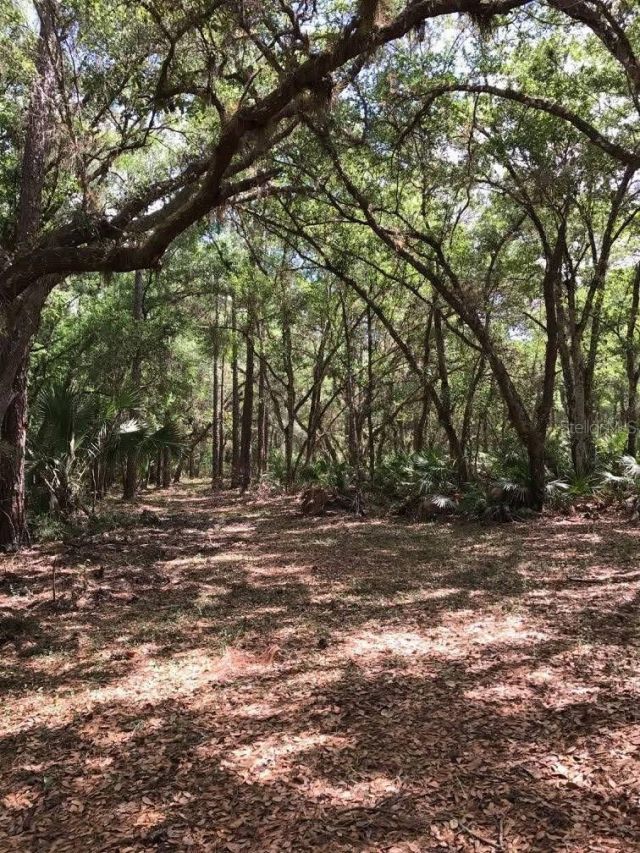 49 Fenny Bosk Trail, Venus, FL 33960 Photo