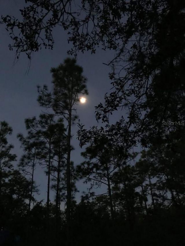 49 Fenny Bosk Trail, Venus, FL 33960 Photo