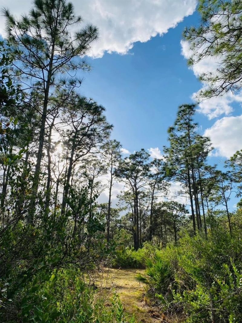 49 Fenny Bosk Trail, Venus, FL 33960 Photo