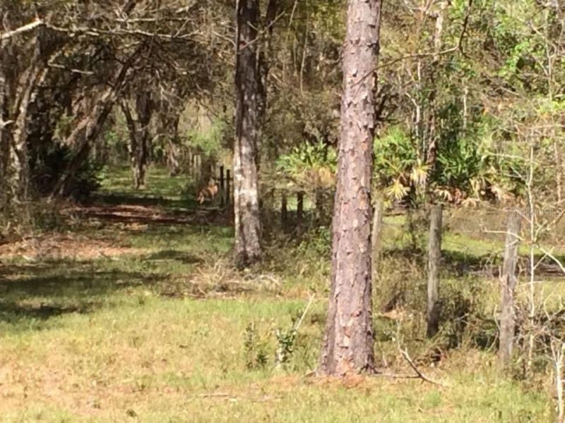 49 Fenny Bosk Trail, Venus, FL 33960 Photo