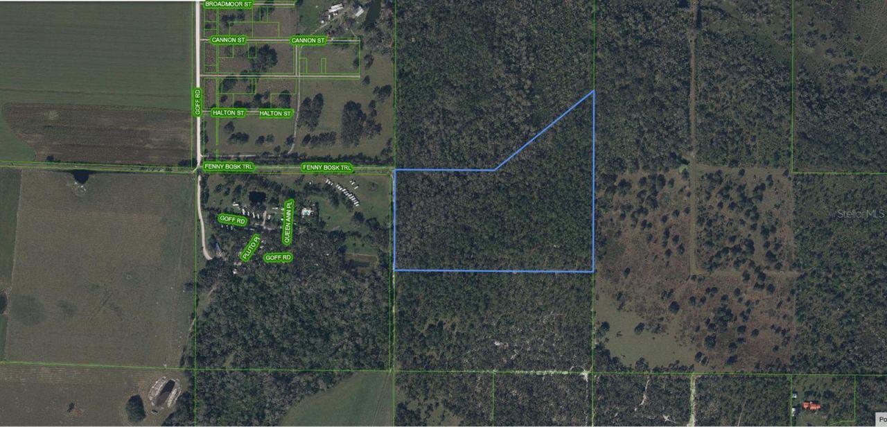 49 Fenny Bosk Trail, Venus, FL 33960 Photo