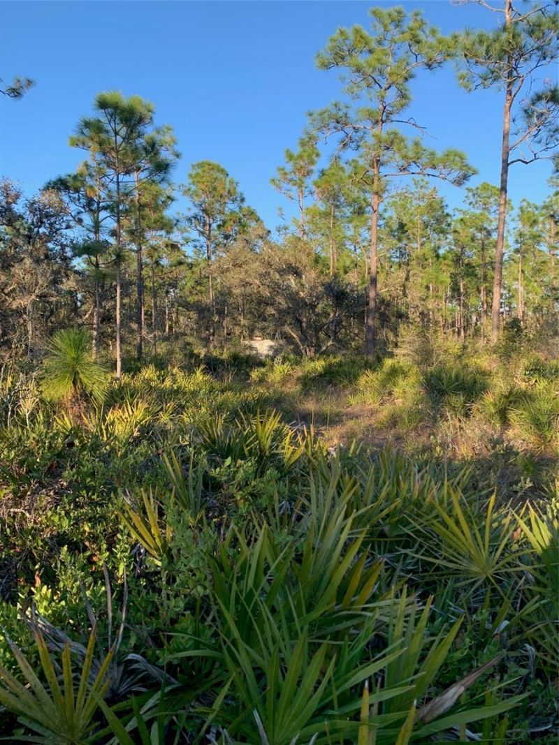 49 Fenny Bosk Trail, Venus, FL 33960 Photo