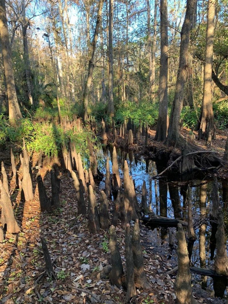 49 Fenny Bosk Trail, Venus, FL 33960 Photo