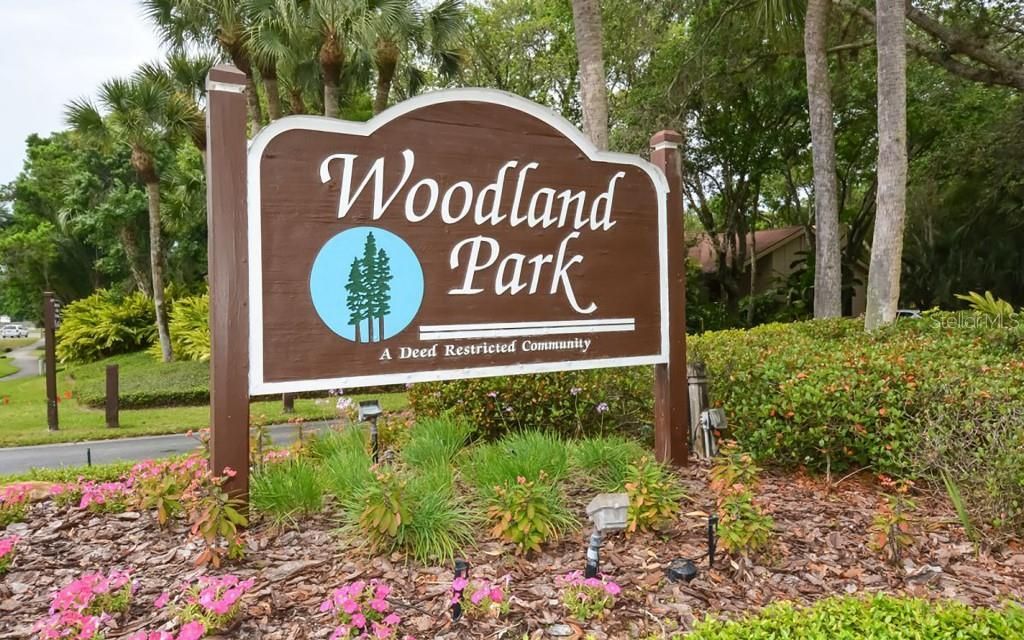 721 Forestview Drive, Sarasota, FL 34232 Photo