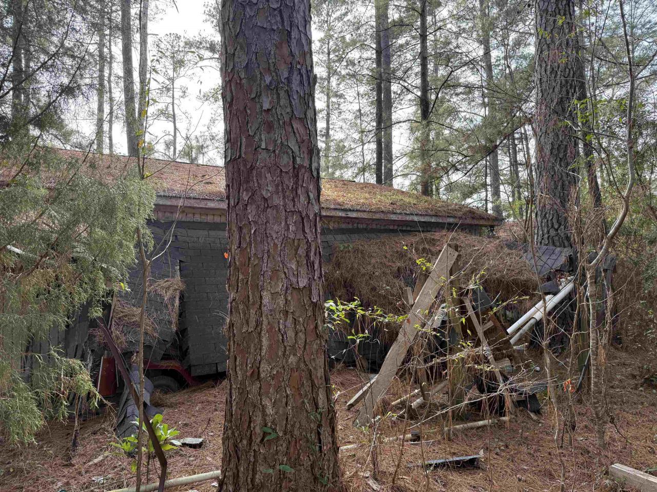 Tbd Georgetown Hwy. Photo 10