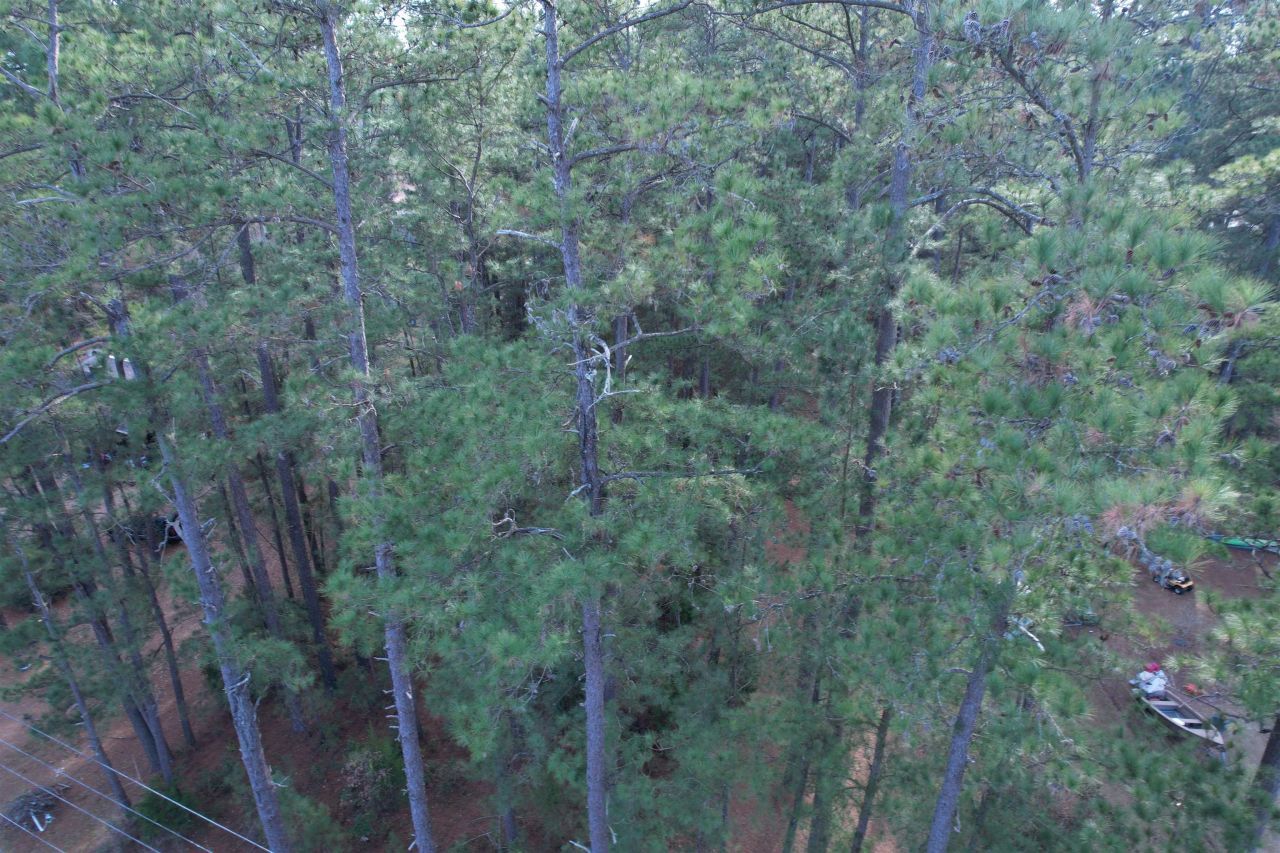 Tbd Georgetown Hwy. Photo 5