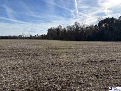 Tbd Indigo landing rd Lot 4, Scranton, SC 29591