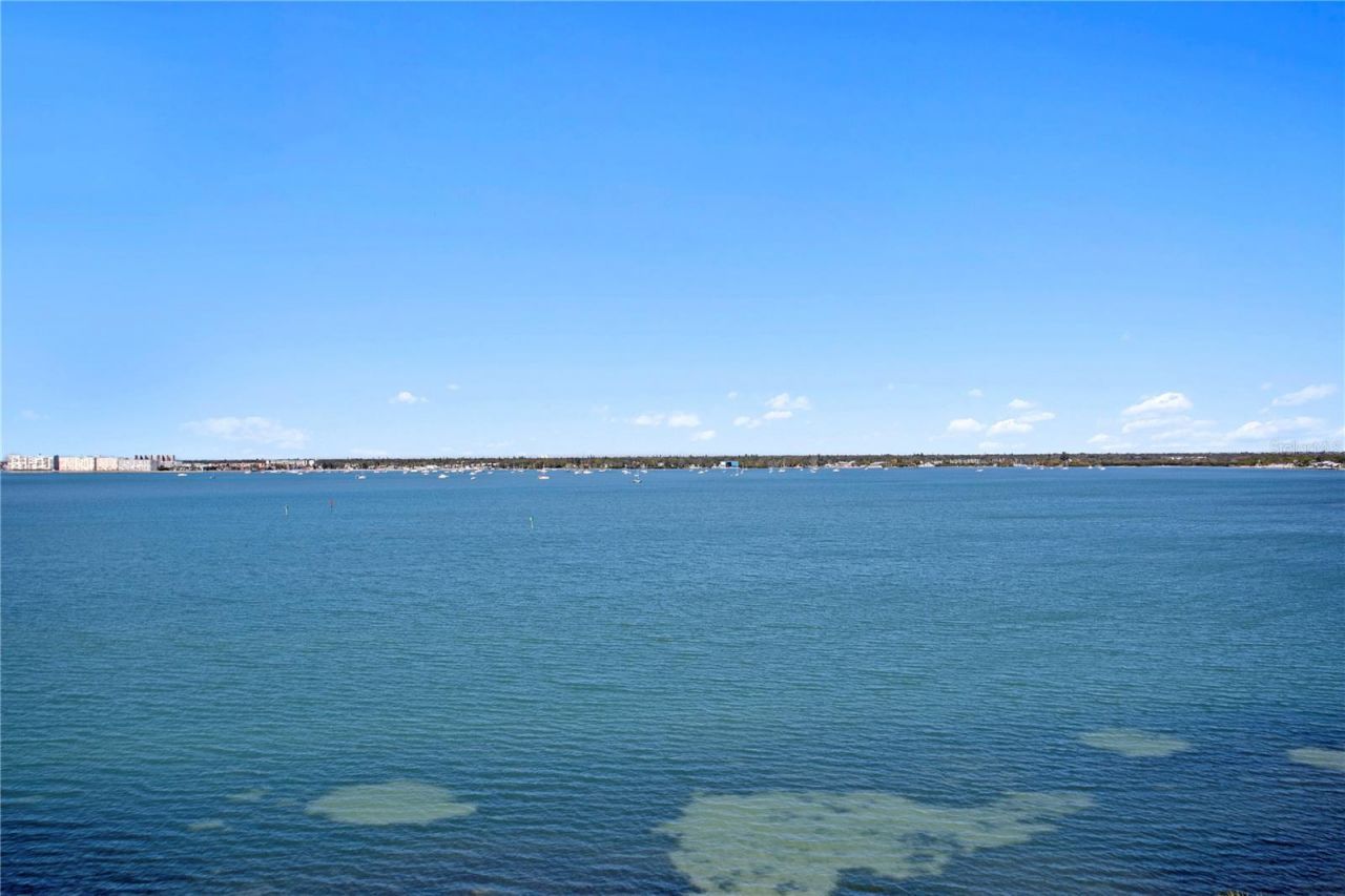 4971 Bacopa Lane S, Unit 703, Saint Petersburg, FL 33715 Photo