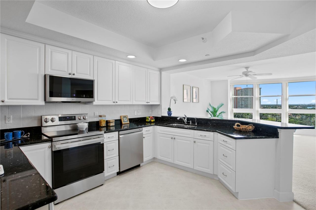 4971 Bacopa Lane S, Unit 703, Saint Petersburg, FL 33715 Photo