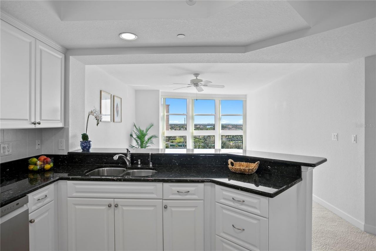 4971 Bacopa Lane S, Unit 703, Saint Petersburg, FL 33715 Photo