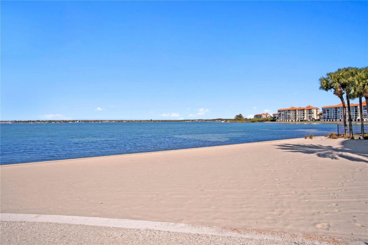 4971 Bacopa Lane S, Unit 703, Saint Petersburg, FL 33715 Photo