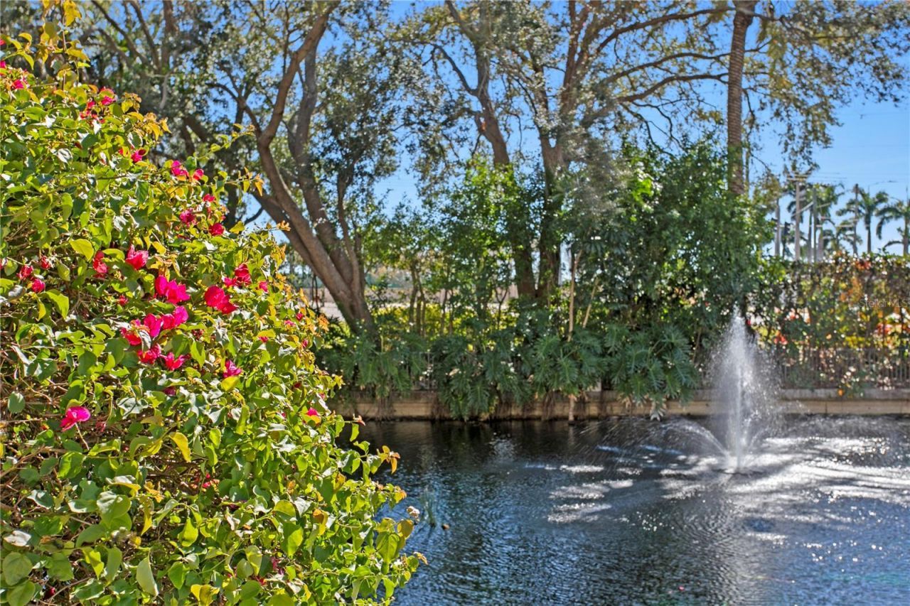 4971 Bacopa Lane S, Unit 703, Saint Petersburg, FL 33715 Photo