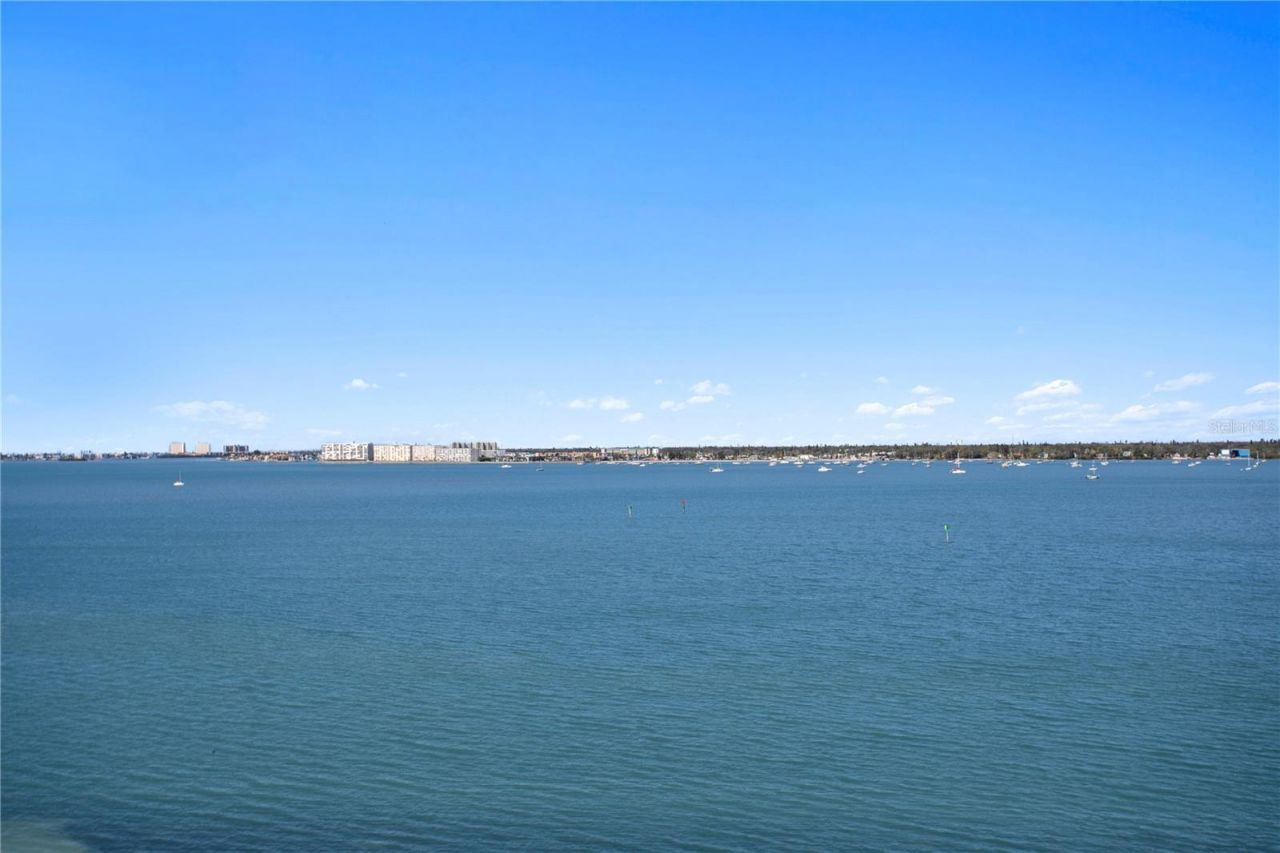 4971 Bacopa Lane S, Unit 703, Saint Petersburg, FL 33715 Photo