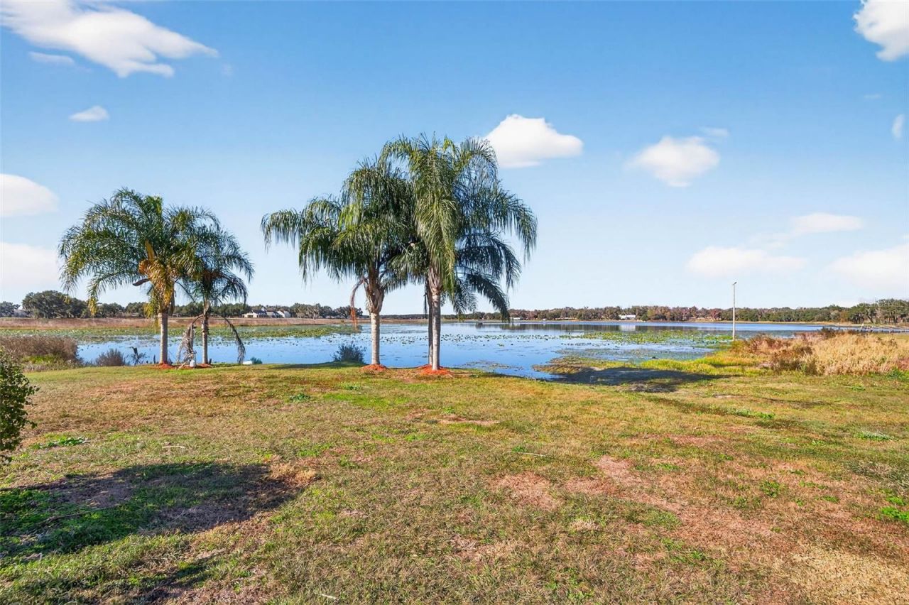 36649 Covington Road, Dade City, FL 33525 Photo