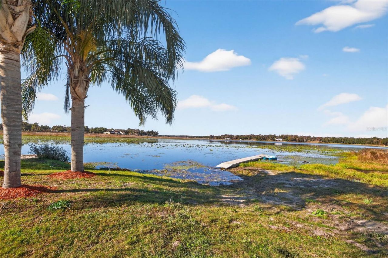 36649 Covington Road, Dade City, FL 33525 Photo