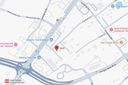 1628 Pat Kelly Lane Lane photo 4