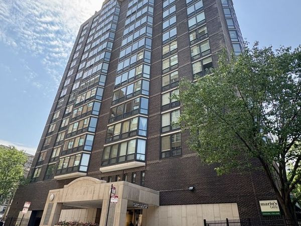 21 W Goethe Street, Unit 2A, Chicago, IL 60610