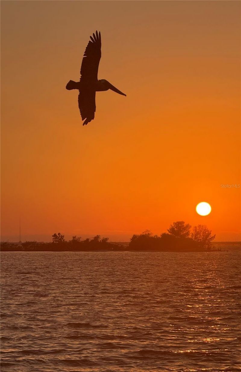 5707 Yeats Manor Drive, Unit 201, Tampa, FL 33616 Photo