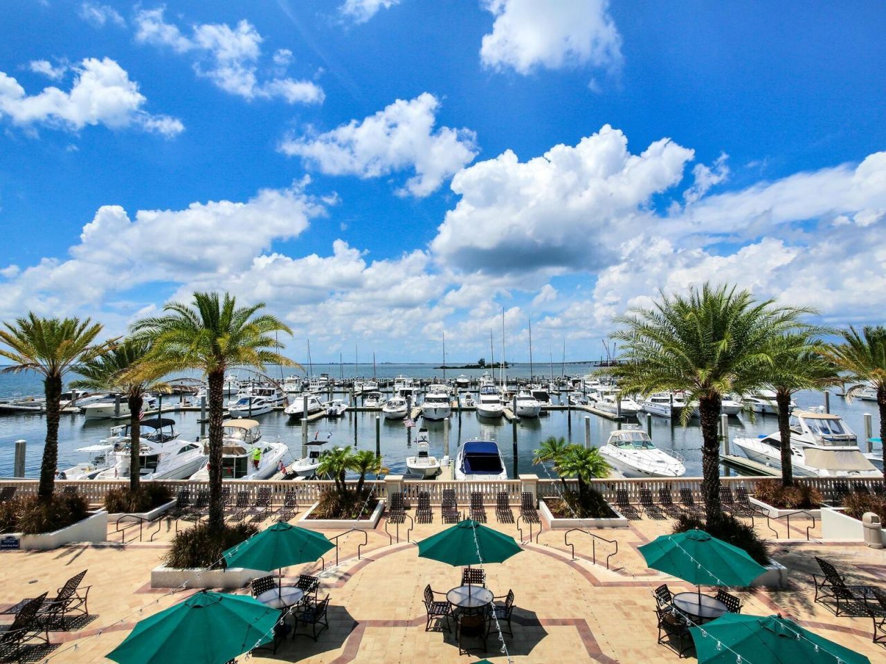 5707 Yeats Manor Drive, Unit 201, Tampa, FL 33616 Photo