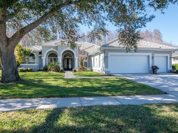 18916 SAINT LAURENT DRIVE, LUTZ, FL 33558