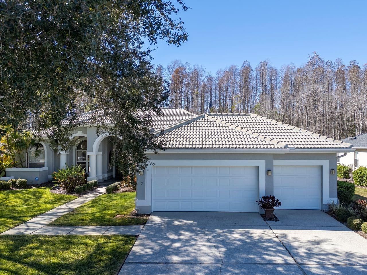 18916 Saint Laurent Drive, Lutz, FL 33558 Photo