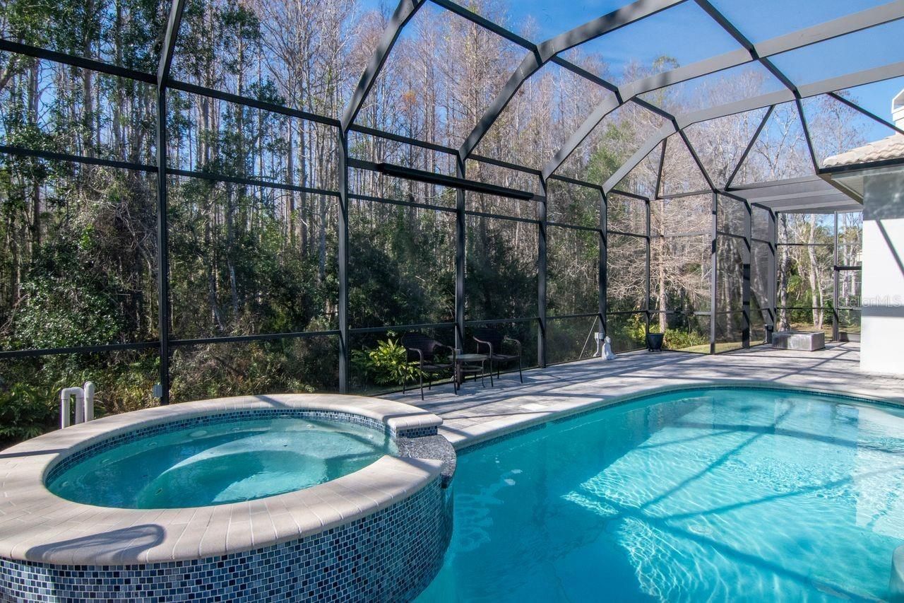 18916 Saint Laurent Drive, Lutz, FL 33558 Photo