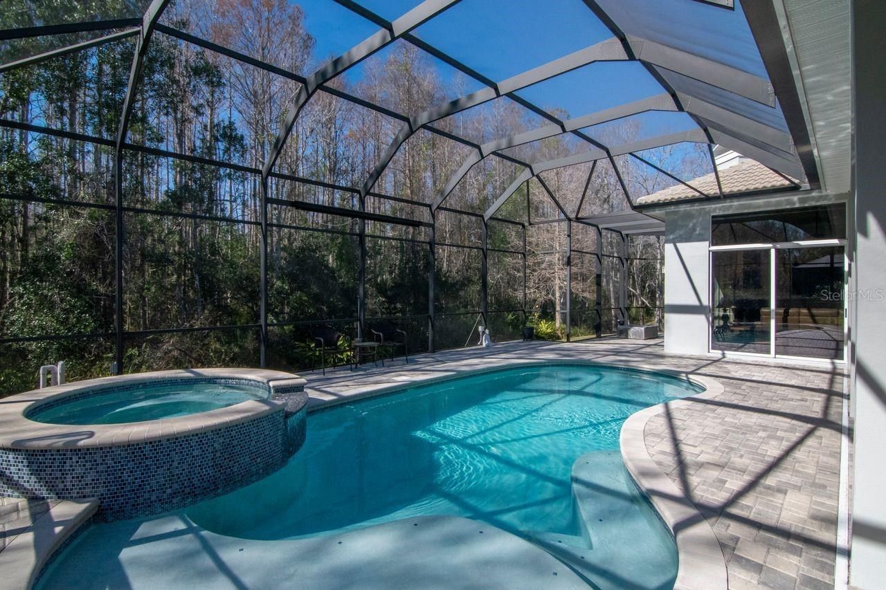 18916 Saint Laurent Drive, Lutz, FL 33558 Photo