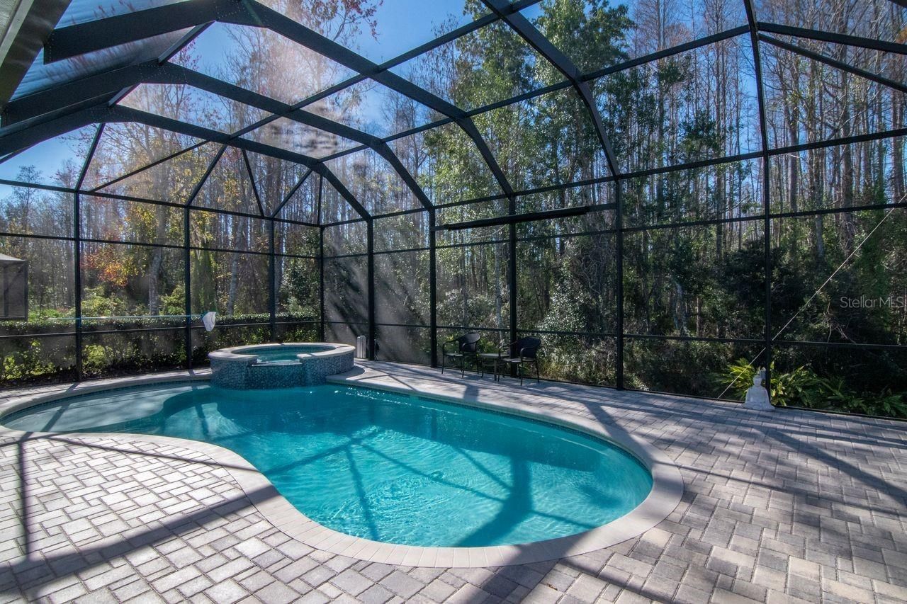 18916 Saint Laurent Drive, Lutz, FL 33558 Photo